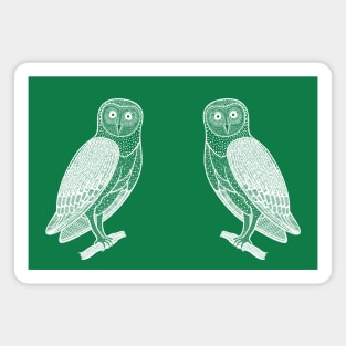 Barn Owls in Love - hand drawn detailed bird lovers design Magnet